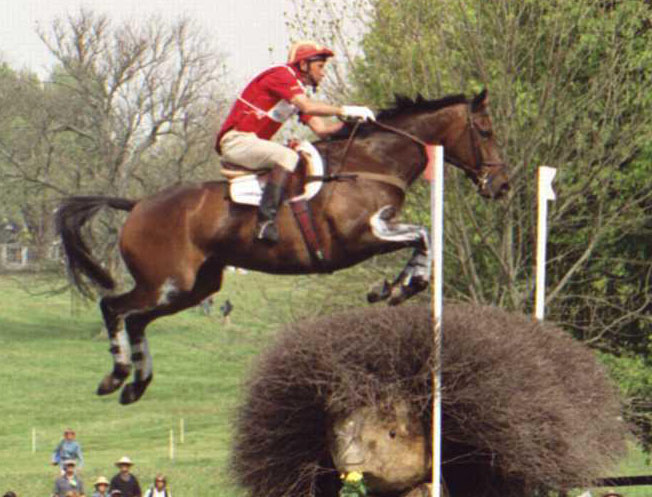 Eagle Lion - Badminton Horse Trials